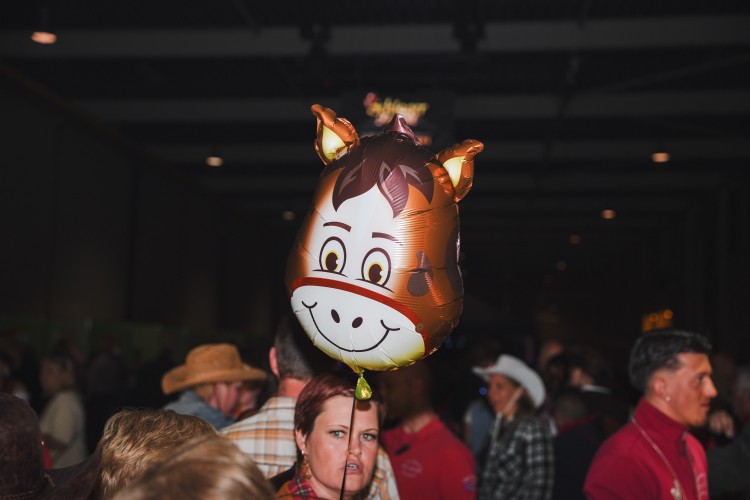Foto's Het Schlagerfestival de Wild Wild West-editie